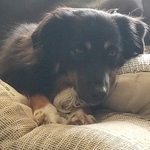 Meet your Posher, Sandy